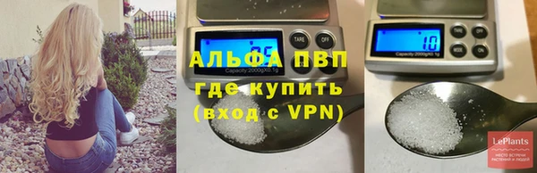 эйфоретик Беломорск